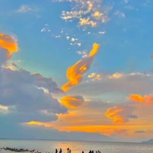 Meet your Posher, Giody